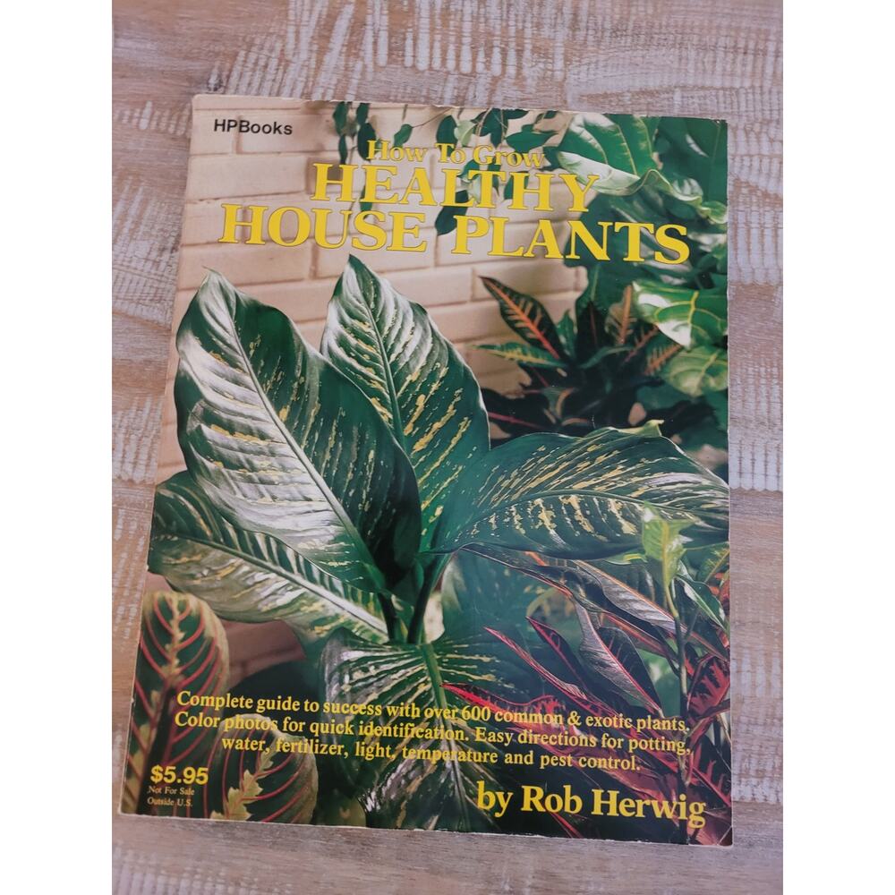 How to Grow Healthy House Plants